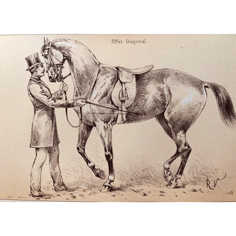 Principes de dressage et d'équitation (édition originale)