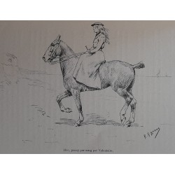 Le cheval de selle en France