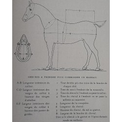 Dressage et ménage