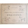 Principes élémentaires d'équitation