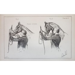 Principes de dressage et d'équitation