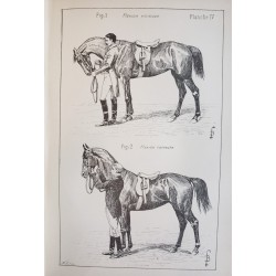 Principes de dressage et d'équitation