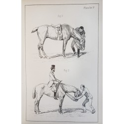 Principes de dressage et d'équitation