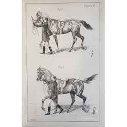 Principes de dressage et d'équitation