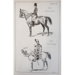 Principes de dressage et d'équitation