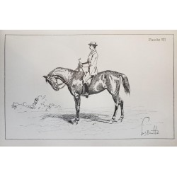 Principes de dressage et d'équitation