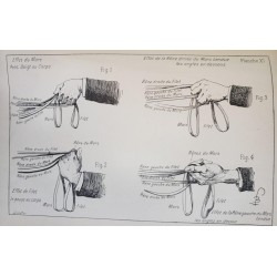 Principes de dressage et d'équitation