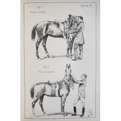 Principes de dressage et d'équitation