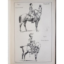 Principes de dressage et d'équitation