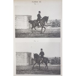 Principes de dressage et d'équitation