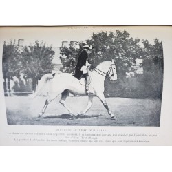 Journal de dressage