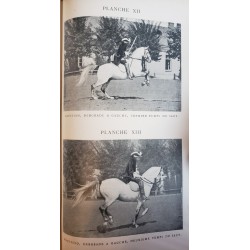 Journal de dressage