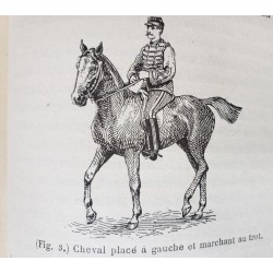 Méthode progressive applicable au dressage du cheval de troupe d'officier et d'amateur