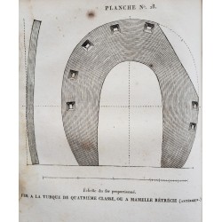 L'art complet du vétérinaire et du maréchal ferrant