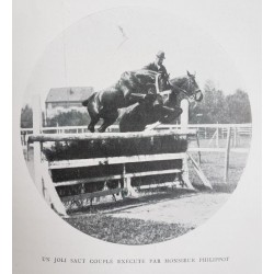 Dressage en liberté du cheval d'obstacles