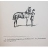 Conférence hippique, les cinq mouvements clés de l'équitation