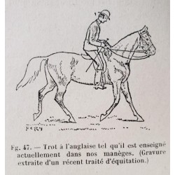 L'Equitation actuelle et ses principes - Recherches expérimentales