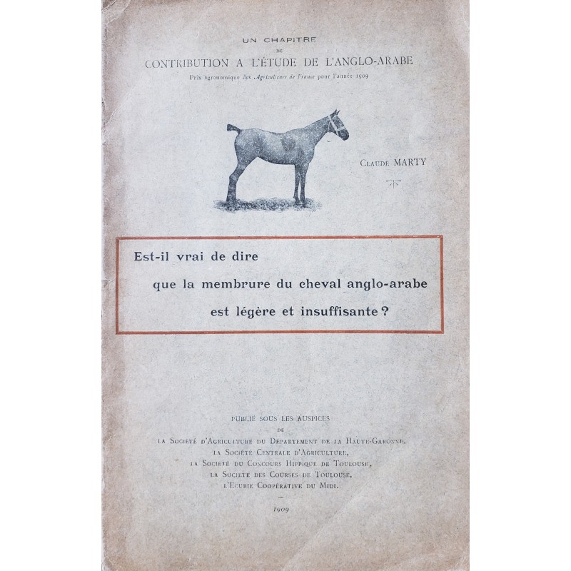 Est-il vrai de dire que la membrure du cheval anglo-arabe est légère et insuffisante?