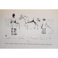 Traité d'enseignement pratique de l'équitation normale et du dressage raisonné