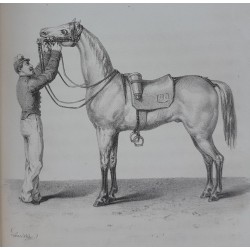 Méthode d’équitation (treizième édition)