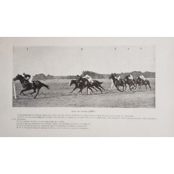 Saut d'obstacles et galop de course - étude cinématographique