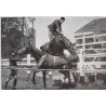 Saut d'obstacles et galop de course - étude cinématographique