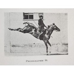 Saut d'obstacles et galop de course - étude cinématographique