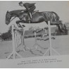 Dressage du Cheval de Selle