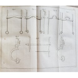 De l'embouchure du cheval