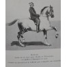 Dressage du Cheval de Selle