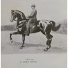 Dressage du Cheval de Selle (vendu)