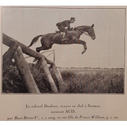 Dressage du Cheval de Selle (vendu)