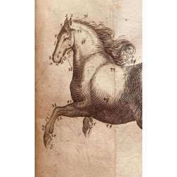 L'art de monter à cheval