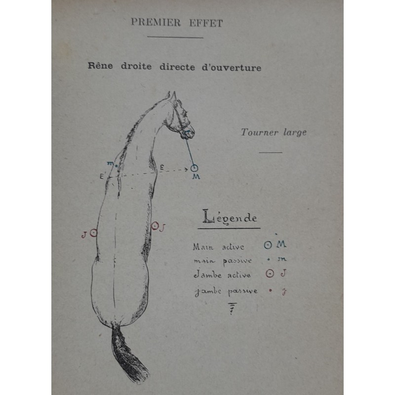 Réponses au questionnaire d'équitation