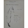 Réponses au questionnaire d'équitation