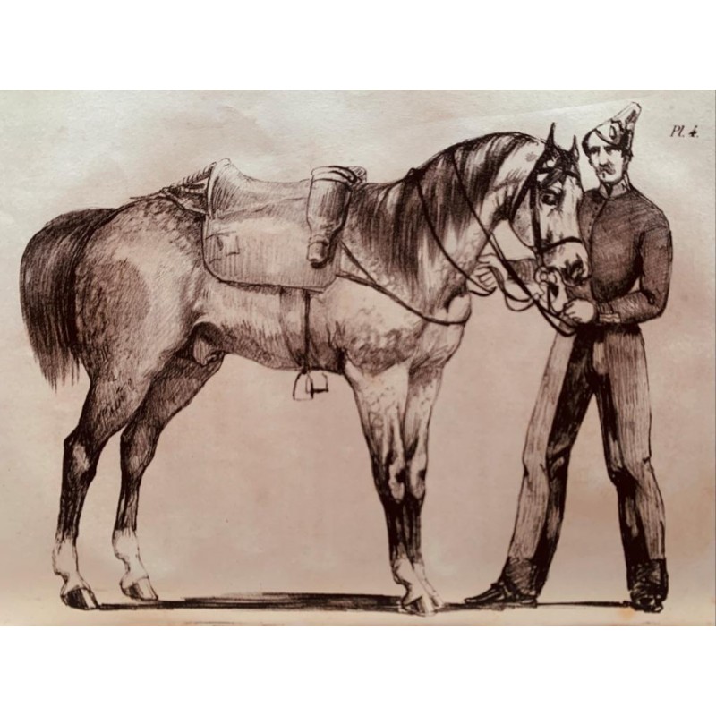 Argus des haras et des remontes